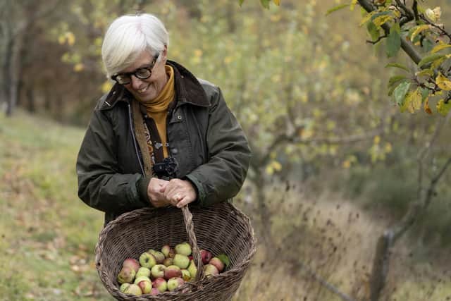 Freezing apples or turned them into chutney is one money-saving idea for September. Picture: TIZIANA FABI/AFP via Getty Images