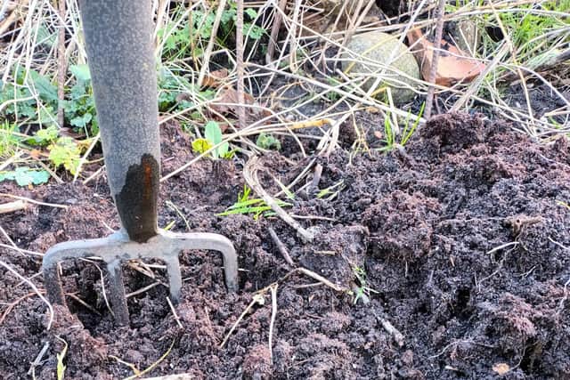 "To dig or not to dig, that is the question."