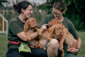 Jerry Green Dog Rescue staff with Dogue de Bordeaux puppies