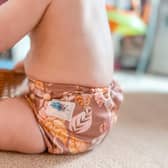 The Nappy Den - Cloth Nappy