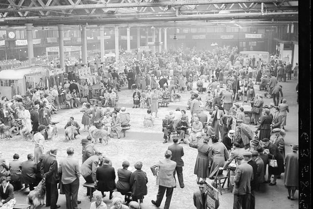 A view of the judging at the Scottish Kennel Club's All-Breed Dog Show in Waverley Market in 1960.
