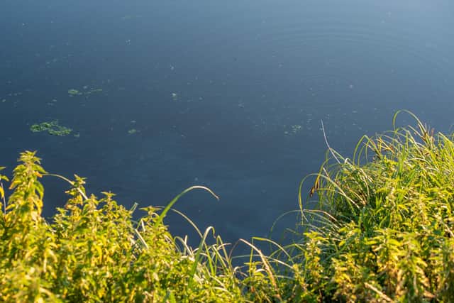 A cloudy substance was visible in the water at Newham Drain yesterday (Thursday).