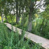 The boardwalk around the pond at Lollycocks Field. Young people are warned to keep off the pond in icy weather.