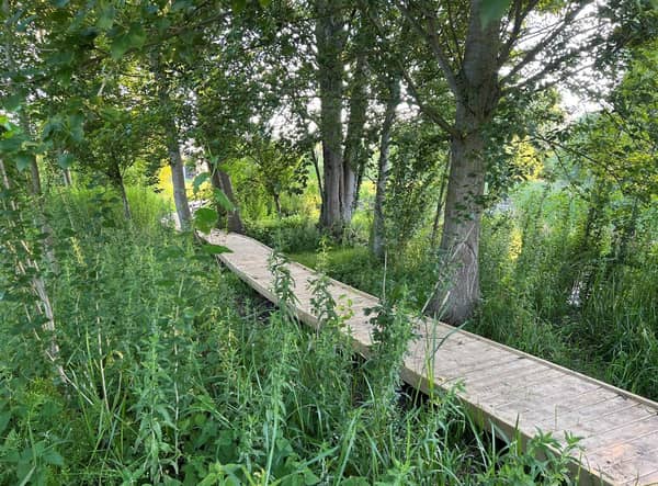 The boardwalk around the pond at Lollycocks Field. Young people are warned to keep off the pond in icy weather.
