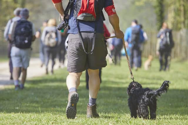 The Lincolnshire Wolds Outdoor Festival takes place from Saturday 11 May - Monday 27 May