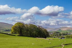 Could your favourite path be crowned the winner?