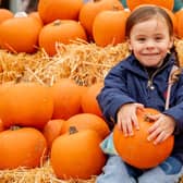 Mayo Michalski in the pumpkin patch. Photo: NKDC/John Aron Photography