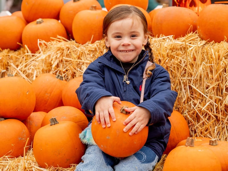 Mayo Michalski in the pumpkin patch. Photo: NKDC/John Aron Photography