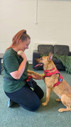 Bethany Stukins, Deputy Centre Manager and Animal Charity Employee of the Year Finalist from Jerry Green Dog Rescue for The Petplan & ADCH Animal Charity Awards 2025