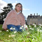 Elathea Adams, aged six, of Heckington with snowdrops in the gardens of Rauceby Hall.