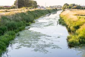 There have been reports of pollution entering Newham Drain at Antons Gowt, Boston.