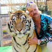 Tiger King. In short, Joe Exotic doesn't like Carole Baskin.