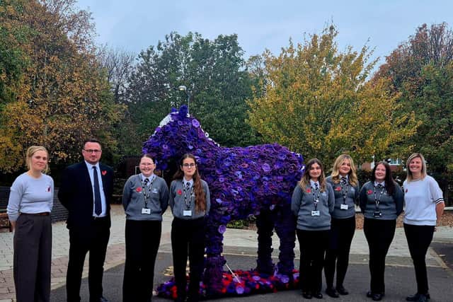 Students and staff from Skegness Academy with the poppy-adorned horse