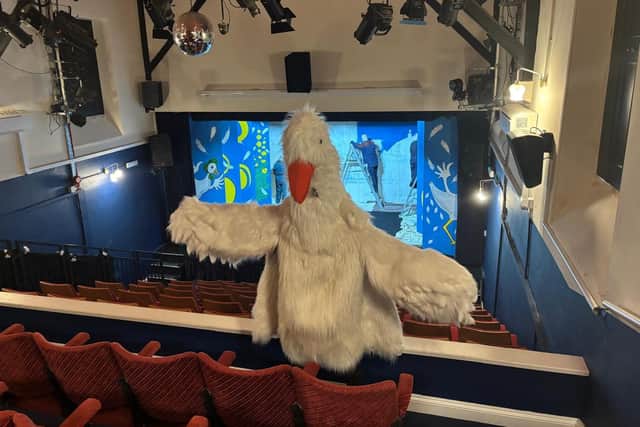 Mother goose is taking over The Playhouse in Sleaford. Photo: Craig Pakes Photography
