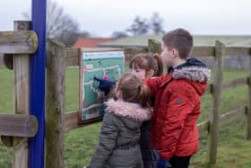 New Welfare Trail launched at Bransby Horses