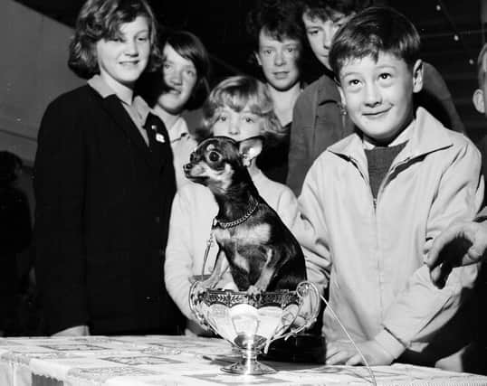 Youngster Noney Evans meets one of the winner sof a dog show held n the Drill Hall in Edinburgh's East Claremont Street in September 1963.