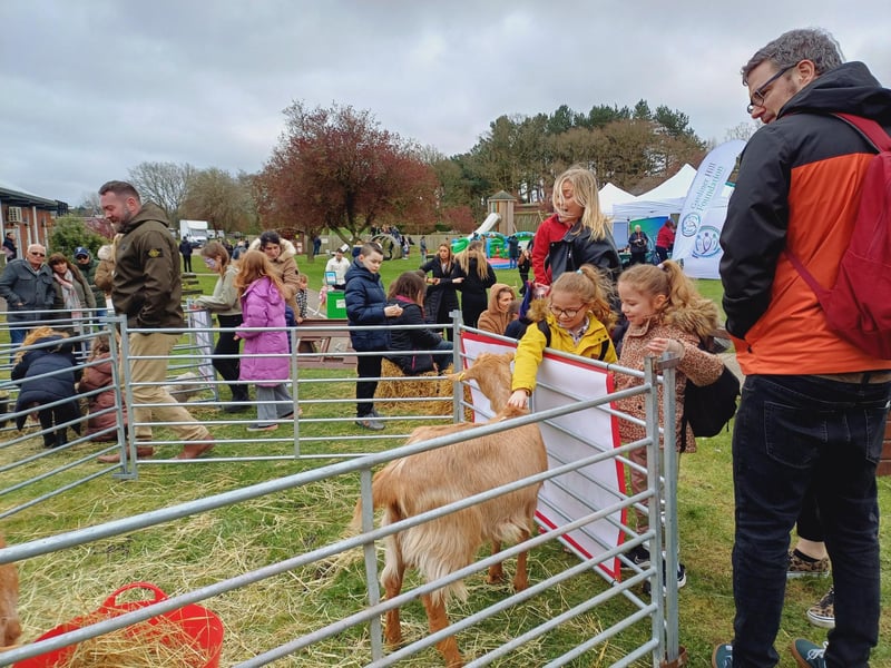 Added attractions meant the raceday event could be enjoyed by all ages