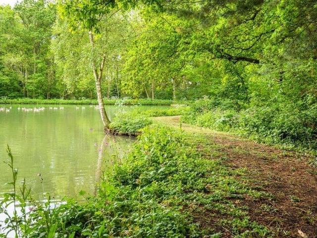 A pathway around the lake.