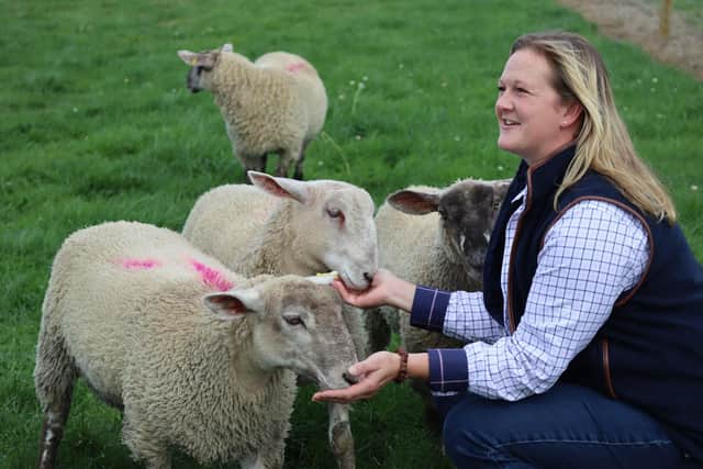 Belvoir Castle's new animal park