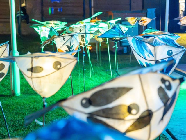 Some hand-made bird lanterns.