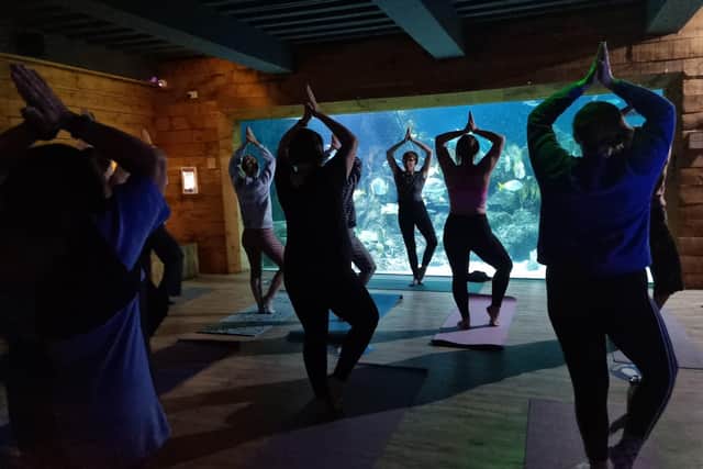Skegnes Aquarium has hosted its first yoga session with local instructor Stephanie Otter.