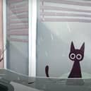 Image from Missy's Tale, a flood awareness video produced by the BeFloodReady campaign