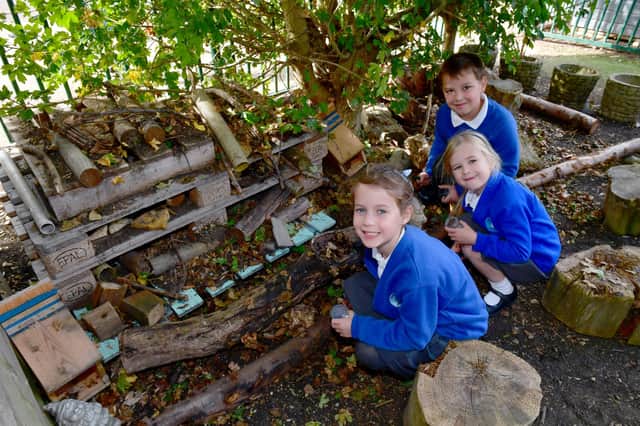 From left - Liana Moliterno Lord, five, Edie Hunt, five, and Jake Henson, eight, with the new Bug Hotel in the garden area at St Botolph's School.