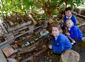 From left - Liana Moliterno Lord, five, Edie Hunt, five, and Jake Henson, eight, with the new Bug Hotel in the garden area at St Botolph's School.