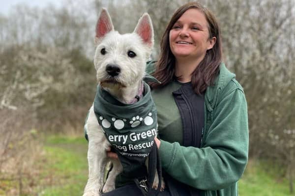 Amanda with a Jerry Green Rescue Dog