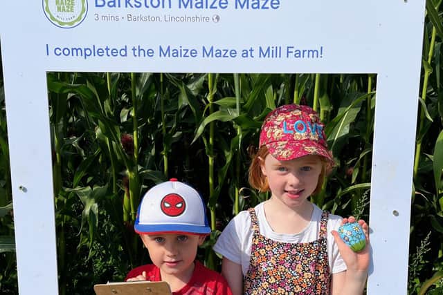 One of Lily's pebbles was left at Barkston's Maize Maze.
