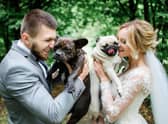 There are many ways to include your dog at your wedding (photo: Adobe)