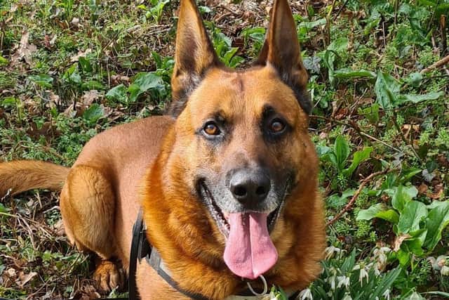 PD Boris.