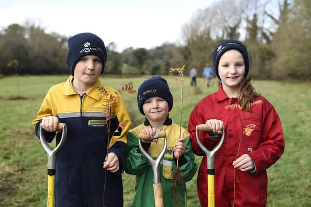 The Woodland Trust is urging schools and communities to join the fight against climate change and nature loss by taking advantage of its latest tree-pack giveaway.