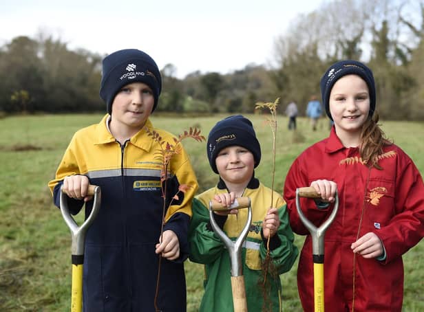 ​The Woodland Trust is urging schools and communities to join the fight against climate change and nature loss by taking advantage of its latest tree-pack giveaway.