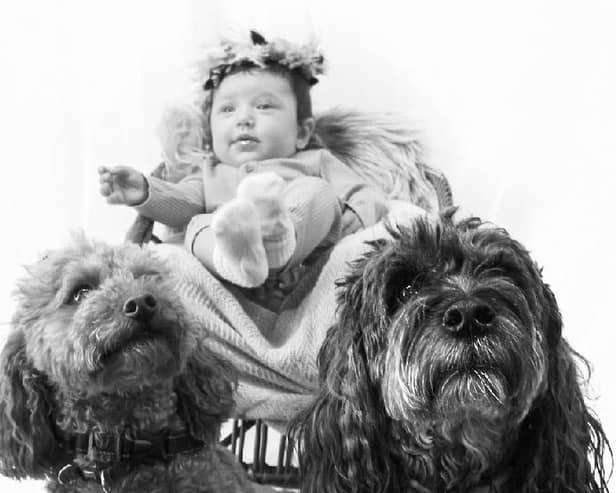 Family photos are a popular request at the park when Noble Captures are present.