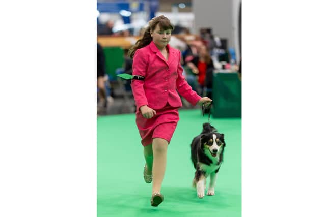 Freya Harris Freya, 11, shows at Crufts again while battling cancer