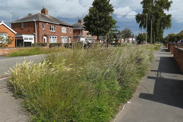Hessle Drive was one area highlighted to The Standard by readers where grass verge maintenance was an issue.