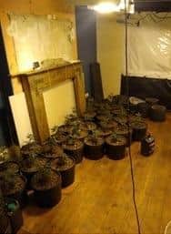A warrant was issued after police received information.