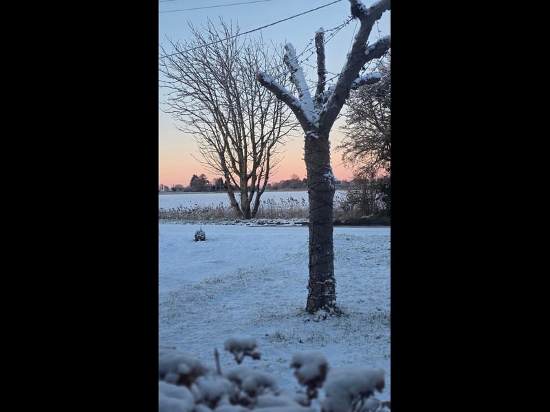 Kimberleigh Rosina shared this view from her garden in Frampton West.
