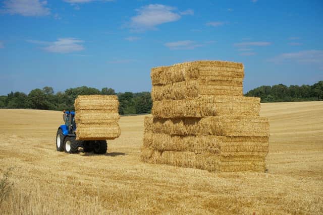 Fears of CGT pushing UK farmers toward exit, warns leading agriculture expert
