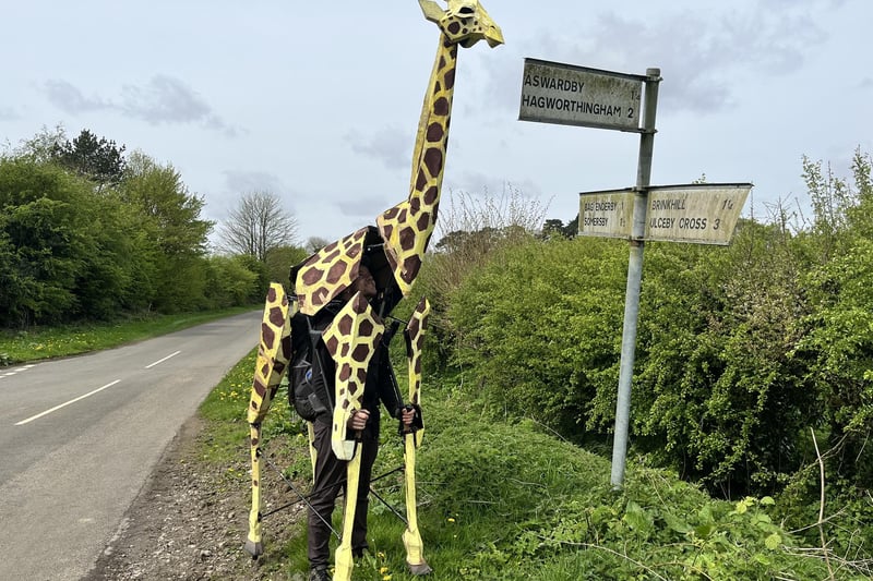 Sebastian Mayer with life-size giraffe puppet Zarafa in Harrington.