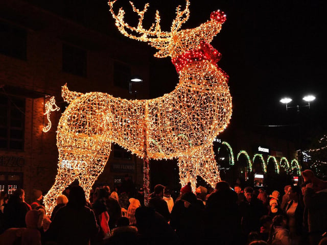 The reindeer at Marshall's Yard