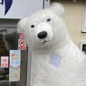 Get your photo taken with Polo the Polar Bear, from Creative Characters, who will be walking around the Sleaford Christmas Market.