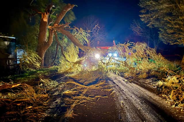A 60ft Fallen Tree in Fulbeck closed a road. The tree was cut down and discarded on the nearby verge to reopen the carriageway.