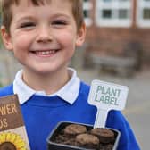 Child at St Andrew’s C.E. Primary School, Woodhall Spa, launching the Woodhall Spa in Bloom Sunflower Challenge. Photo: WSiB