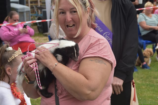 A skunk certainly attracted attention  - and our photographer pleased it seemed happy about it.