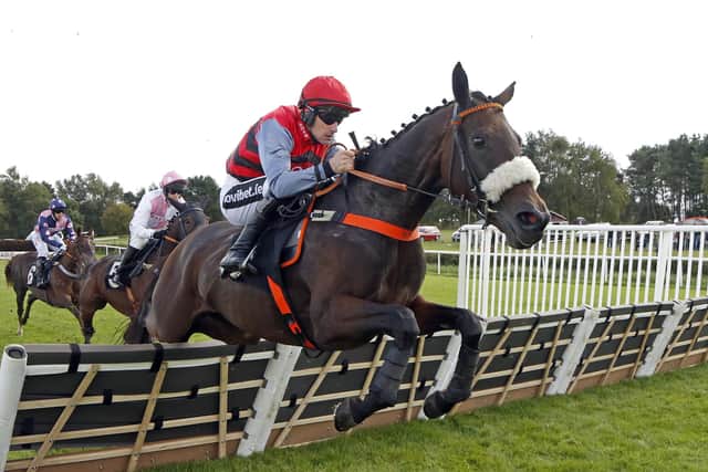 An afternoon of racing at Market Rasen. Image: Steven Cargill / Racingfotos.com