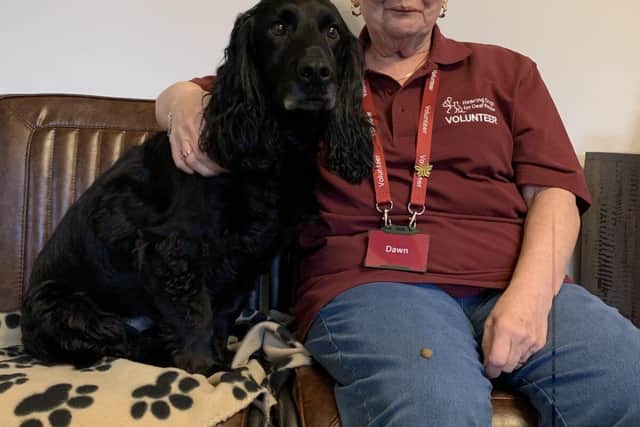 Dawn Swepstone with her hearing dog Digby
