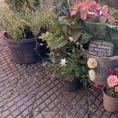 Plants left in tribute to the Queen on her death have been transplanted to the garden at Mrs Smith's Cottage, Navenby.