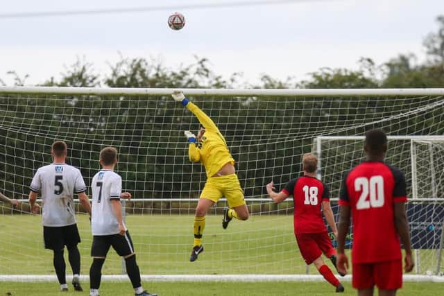 Regular Louth keeper Alex Lait in action.
